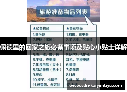 佩德里的回家之旅必备事项及贴心小贴士详解