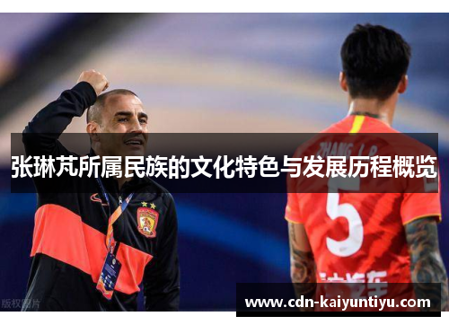 张琳芃所属民族的文化特色与发展历程概览