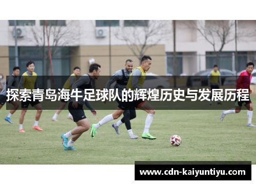 探索青岛海牛足球队的辉煌历史与发展历程