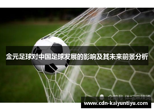 金元足球对中国足球发展的影响及其未来前景分析 金元足球对中国足球发展的影响及其未来前景分析