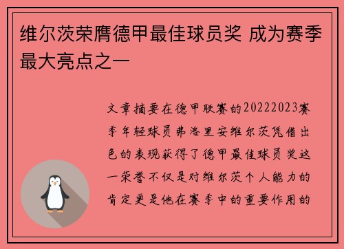 维尔茨荣膺德甲最佳球员奖 成为赛季最大亮点之一